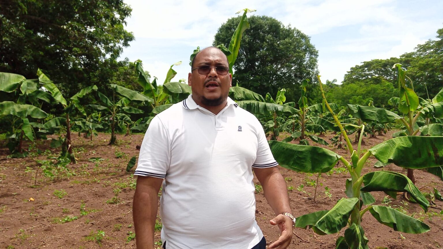 Empresario Yamel Hernández denuncia destrucción de plantación de rubros y demás sembradíos por parte del director del CEA.