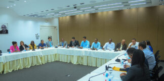 Diputados evalúan creación del Ministerio de Seguridad Ciudadana con DNCD y Poder Ejecutivo