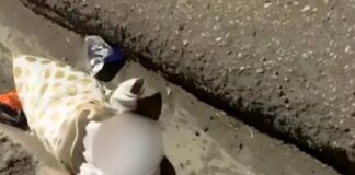 Abandonan bebé de tres meses en plena vía pública en San Juan de la Maguana