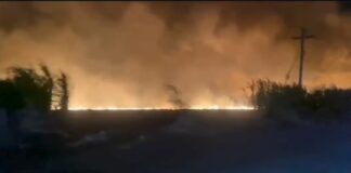 Incendio en campos de caña de SPM genera intensa humareda en la salida hacia Ramón Santana