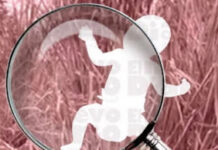 Feto de 16 semanas de gestación fue descubierto por niños en solar baldío del sector Villa Cerro en Higüey