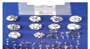 Ocupan decenas de porciones de presuntas sustancias narcóticas en la Romana, hay seis detenidos