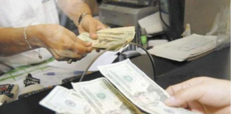 Dominicanos en NY, entre el peso económico y el vacío institucional