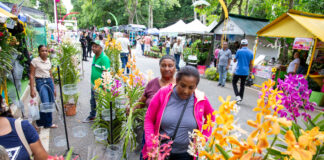 Festival de las Flores dinamiza economía en Jarabacoa