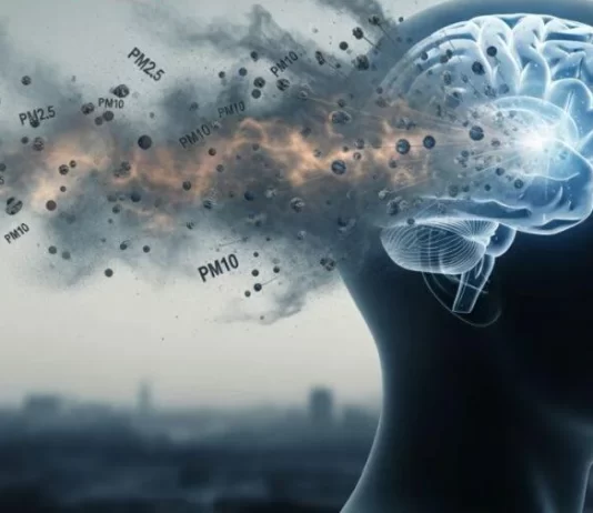 OMS alerta que el sueño, la contaminación del aire y el aislamiento social aumentan el riesgo de demencia