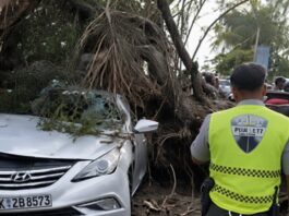 Cuatro personas resultaron heridas por caída de árbol en Las Américas