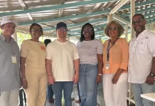 Anuncian en Cayo Levantado remozamiento de muelle
