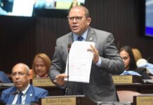 Sector eléctrico es el mayor descalabro del Gobierno de Abinader, según diputado