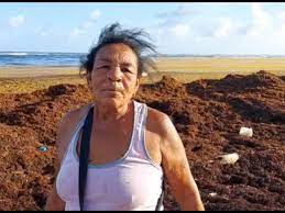 Fritureras de playa Guayacanes piden a las autoridades ir en auxilio por el zargazo.