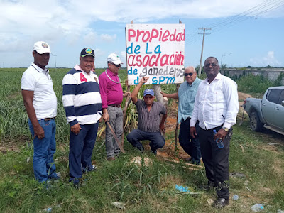 terreno ganaderos 5