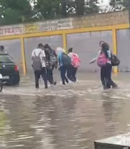 96ca0cef-7457-4511-8fa3-db078b6578e5