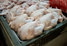 Precio del pollo sigue alto; ciudadanos se quejan por últimos aumentos