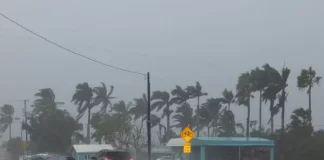 Huracán Erin: Edeeste implementa medidas para proteger el servicio eléctrico