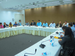 Diputados evalúan creación del Ministerio de Seguridad Ciudadana con DNCD y Poder Ejecutivo