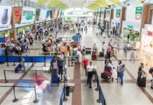 Viajeros buscan soluciones tras cancelaciones repentinas de Spirit Airlines