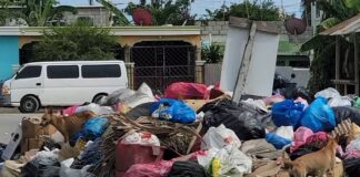 Denuncian calles de San Pedro de Macorís “repleta” de basura