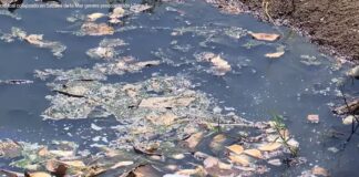 (Vídeo) Colapsa sistema cloacal en Sabana de la Mar; autoridades no hacen nada