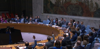 Consejo de Seguridad de la ONU aprueba nueva fuerza antipandillas para Haití