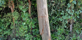 Empresa de Transmisión Eléctrica realizará trabajos de emergencia en línea 69 kV La Romana–El Pintao