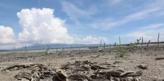 ¿Qué está pasando con la Laguna de Rincón?