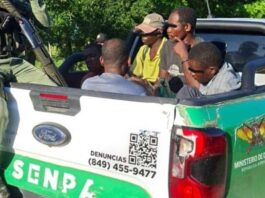 Operativos ambientales dejan 21 detenidos en La Altagracia y Valle Nuevo