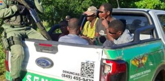 Operativos ambientales dejan 21 detenidos en La Altagracia y Valle Nuevo
