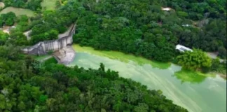 Barrick Gold señalada por posible vínculo de contaminación en la presa de Hatillo