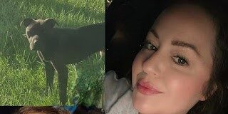 Mujer y 3 hijos fueron atacados por un perro mestizo que habían rescatado de las calles en Carolina del Norte