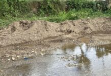 Indignación: alerta sobre violación de leyes ambientales en La Laguna por el alcalde