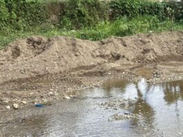 Indignación: alerta sobre violación de leyes ambientales en La Laguna por el alcalde