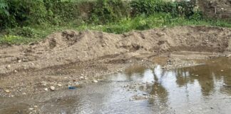 Indignación: alerta sobre violación de leyes ambientales en La Laguna por el alcalde