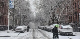 Nueva Jersey y Connecticut amanecen con la primera nevada de la temporada