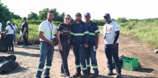 Medio Ambiente realiza jornada de reforestación en Playa Marota, San Pedro de Macorís