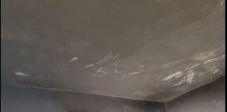 (Vídeo) Denuncian cementerio en San Pedro de Macorís, se convierte en casa de guarida