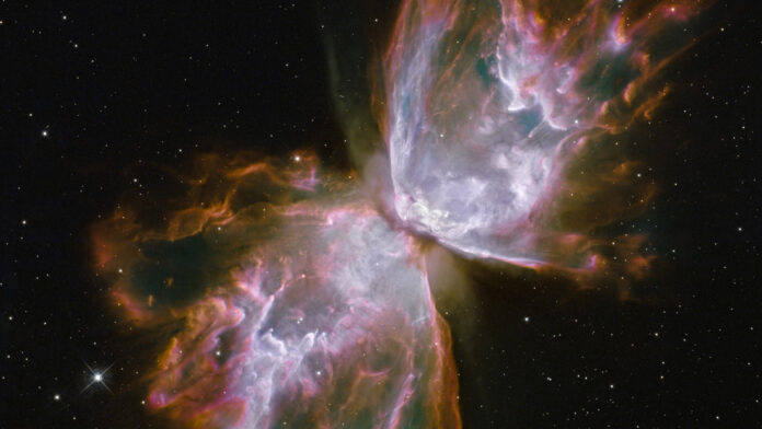 mariposa' en el espacio