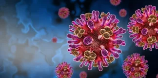 EE.UU. activa alertas sanitarias en aeropuertos por virus Nipah