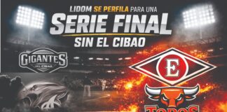 LIDOM perfila una Serie Final sin representación del Cibao