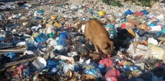 Denuncian La Romana sigue siendo una “sucursal” vertedero de Duquesa