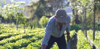 Charlie Mariotti dice este Gobierno desprecia el campo y al hombre de trabajo