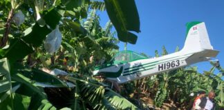 Avioneta de fumigación se precipita en Montecristi, piloto sobrevive