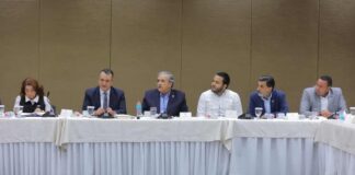 Congreso cumple sentencias del TC, pero engaveta la regulación de candidaturas independientes