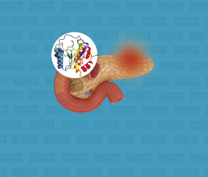 investigadores-espanoles-eliminan-por-primera-vez-el-cancer-de-pancreas-en-ratones_697ac50f625fe