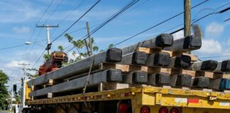 Joven de 20 años muere tras ser impactada por patana cargada de postes eléctricos