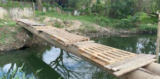 Comunitarios construyen puente de palmeras para que niños no arriesguen la vida cruzando el Ozama