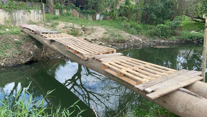 Comunitarios construyen puente de palmeras (2)