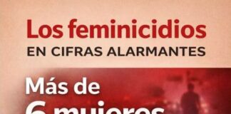 En el primer mes del 2026, la cifra contempla seis mujeres cuyas voces fueron apagadas