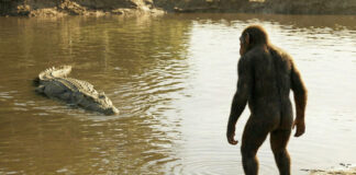 Este cocodrilo con un extraño bulto en la cabeza cazaba ancestros humanos
