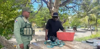 Incautan pez loro en La Romana durante operativo ambiental