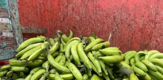 Precios de carnes y plátanos en la región Este muestran variaciones en mercados municipales del Este