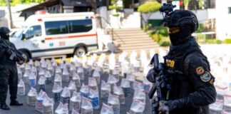 Senado estudia proyecto para eliminar cárcel contra consumidores de drogas